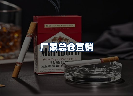 专业团队办公环境